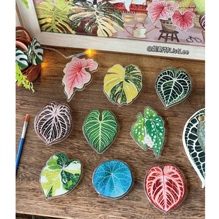 妮斯特·旋转冰箱贴绿植磁贴2026新款个性创意 植物文创热植周边