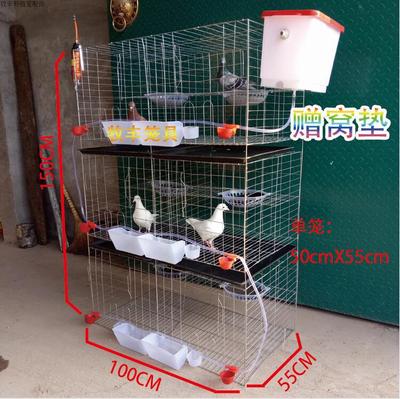 6位鸽笼3层2位鸽笼肉鸽鸽子养殖笼信鸽阳台笼鸽子配对笼放飞笼