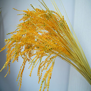 仿真稻子假麦穗谷子塑料水稻稻穗室内摆放装饰绢花模型黄色稻谷
