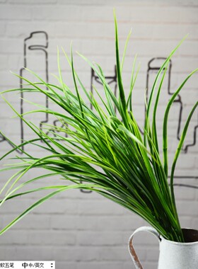 5叉仿真水草麦草秧苗 植物墙配材 假塑料绿色小草园林装饰剑兰草
