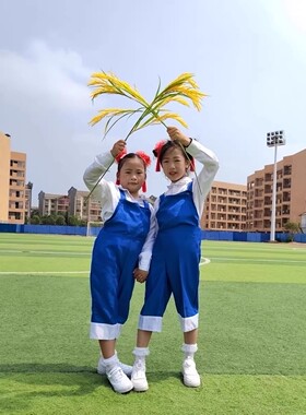 塑料不变形不掉色干花麦穗黄色