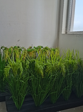 田园单支禾苗茅草 蒲草 大麦麦草仿真绿植植物假绿色芦苇葱草假花