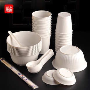 一次性碗筷套装结婚酒席宴席家用聚餐生日宴10人份食品级加厚餐具