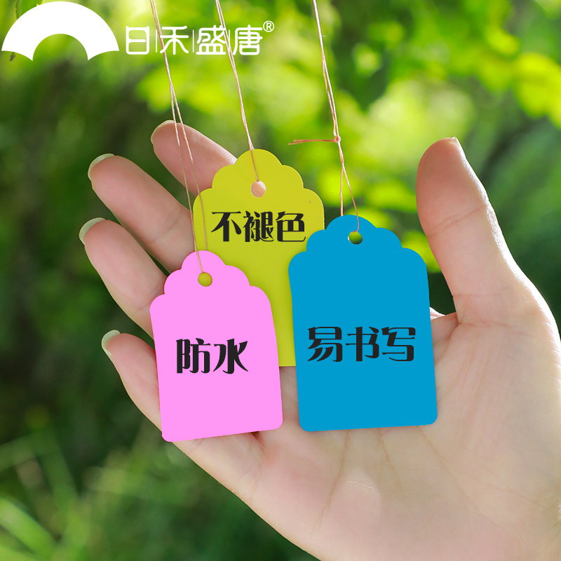 植物标签100张PVC彩色塑料植物吊