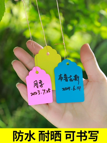 Подвесные бирки, таблички с растениями, таблички с деревьями, классифицированные цветные карты, пластиковые, водонепроницаемые, светостойкие, не выцветающие, цветы, можно писать на