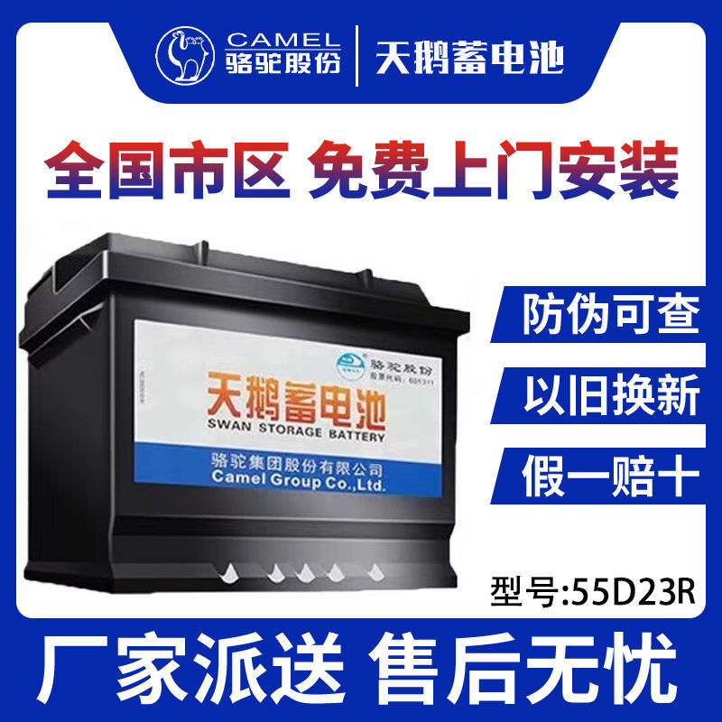 骆驼DF天鹅天鹅汽车电瓶