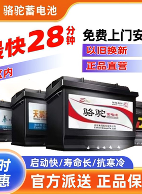 骆驼DF天鹅蓄电池12V45ah适配长安小康五菱宏光轩逸汽车电瓶N45