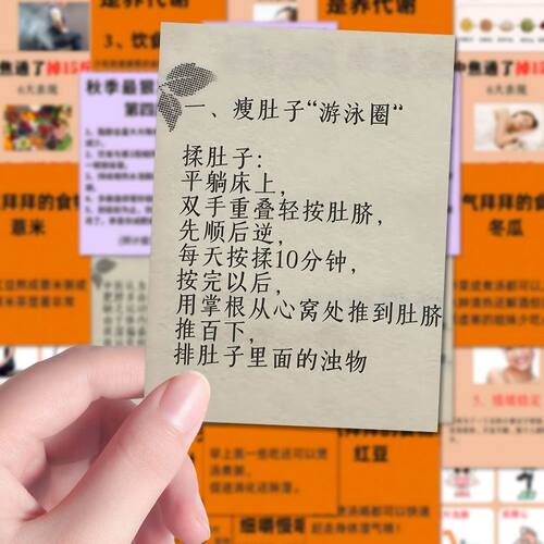 中医健康养生减肥贴纸学生手帐1