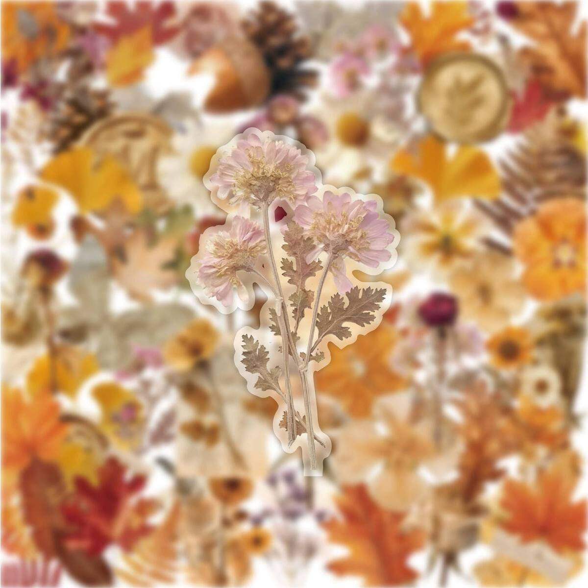 110张花朵树叶贴纸文艺复古防水干花仿真植物花卉透明diy手帐贴画,文具电教/文化用品/商务用品,贴纸/立体贴纸,淘宝优惠券,粉丝福利购,淘宝优惠卷