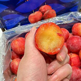 现货空运智利樱桃李5斤大果纯甜新鲜时令水果李子智利洋李子顺丰