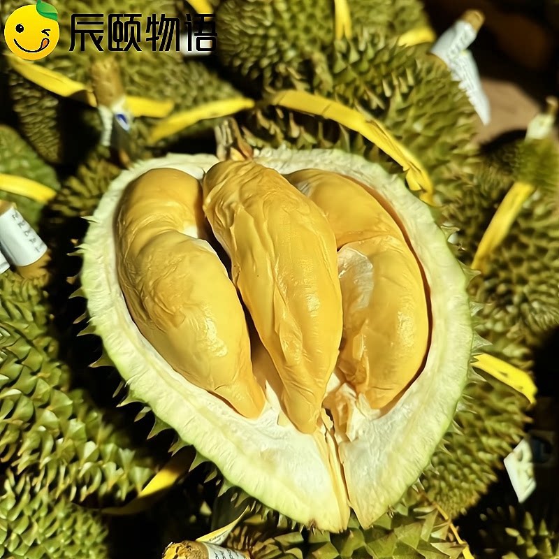 辰颐物语榴莲托曼尼新鲜榴莲带壳当季巴掌榴莲孕妇水果整个包邮