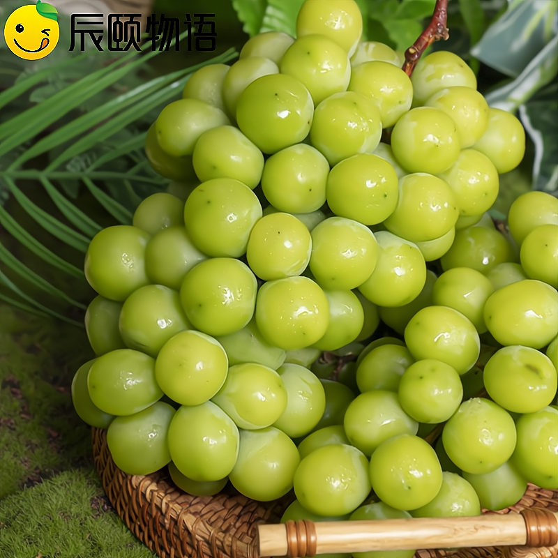 辰颐物语阳光玫瑰3斤葡萄香青提子无籽当季现摘新鲜水果葡萄