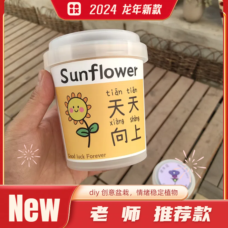 向日葵儿童礼物情绪稳定奖品