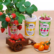 开心农场diy儿童种植礼物创意迷你植物幼儿园可爱小盆栽微景观