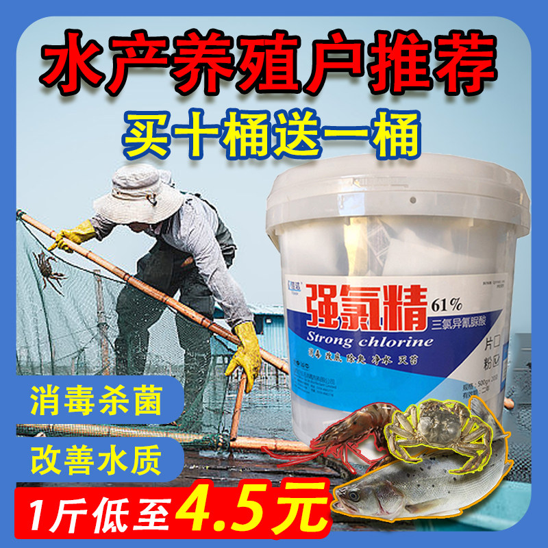 强氯精水产养殖消毒片三氯异氰尿酸粉剂颗粒鱼塘虾蟹水库杀菌净水