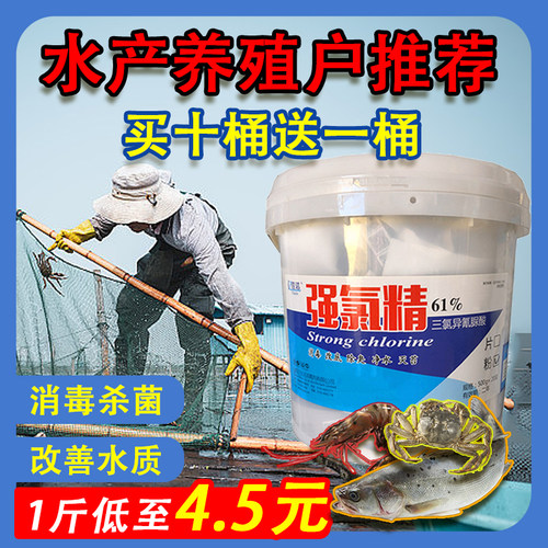 强氯精水产养殖消毒杀菌净水