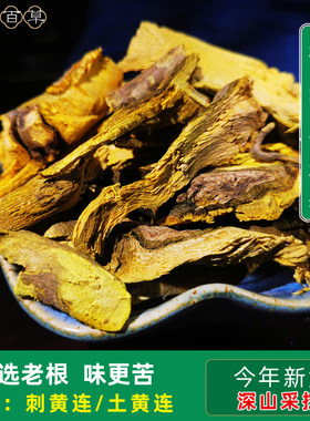 云南野生三颗针黄连黄连 土黄连片刺黄莲铜针刺钢针刺500克中药材