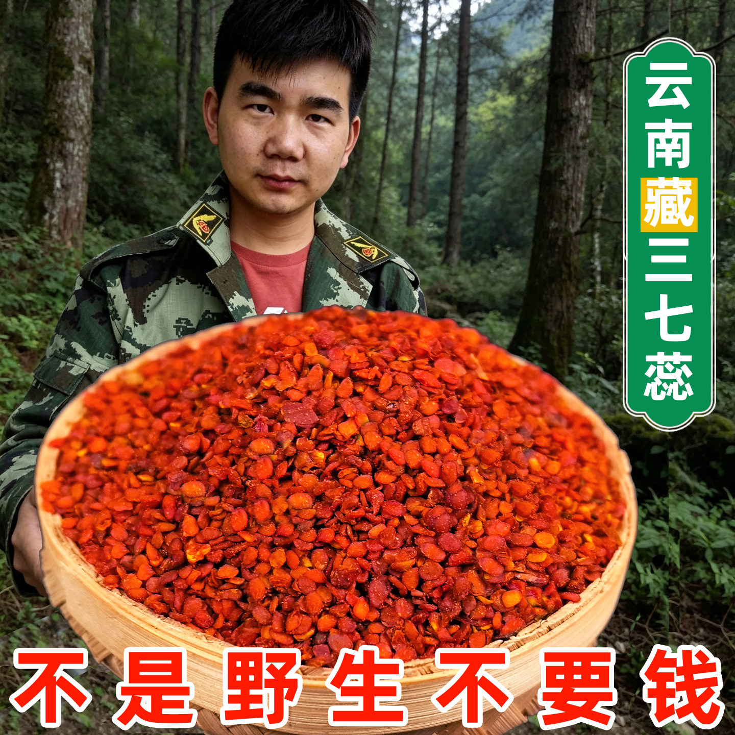 藏三七蕊 九转皇灵参 朱子参蕊 云南珠子参蕊 花蕊 自然生长干净