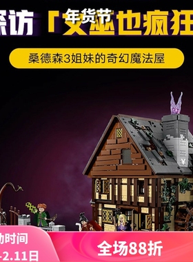 中国积木21341迪士尼女巫桑德森姐妹的魔法屋儿童拼装玩具礼物