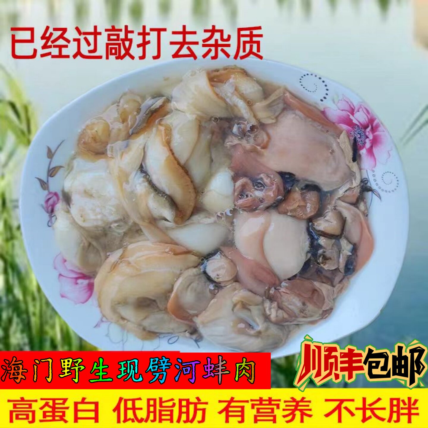 南通河蚌肉新鲜水产品现剖鲜活淡水河蚌去壳净肉贝壳肉湖蚌肉包邮