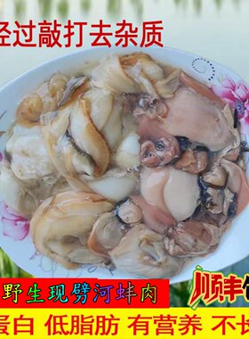 南通河蚌肉新鲜水产品现剖鲜活淡水河蚌去壳净肉贝壳肉湖蚌肉包邮