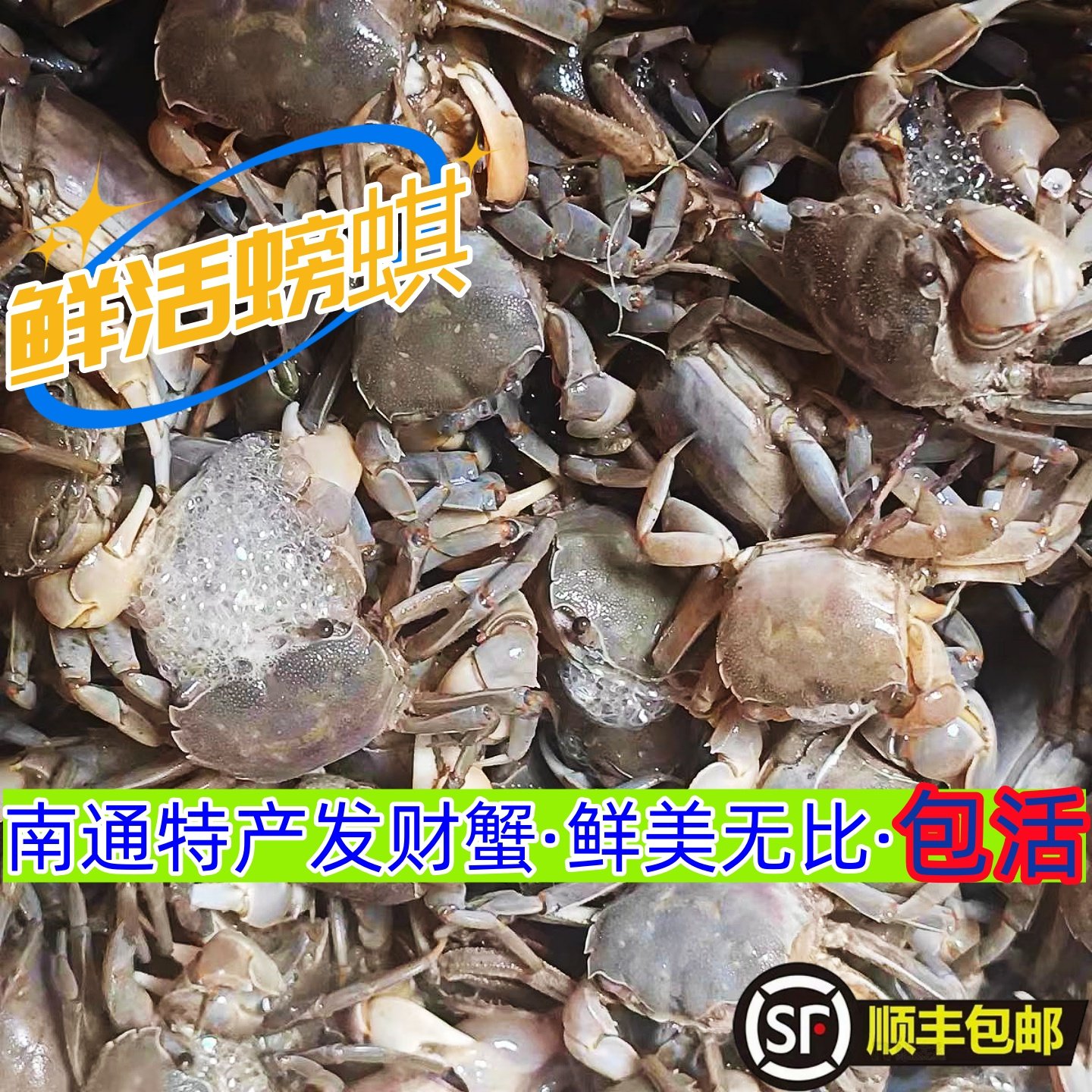南通鲜活螃蜞白玉蟹发财蟹生腌呛小螃蟹蟛蜞海鲜水产鲜美醉蟹包邮