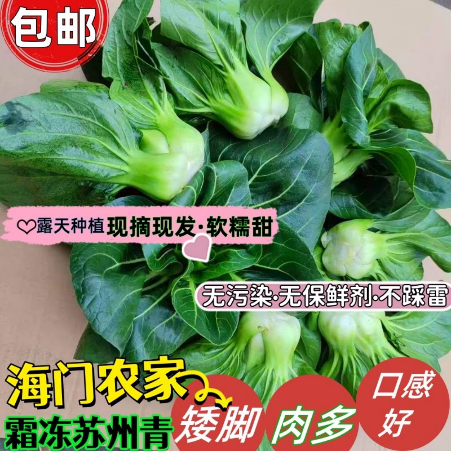 海门农家矮脚青菜苏州青油菜露天霜冻菜苔上海青新鲜蔬菜软糯包邮