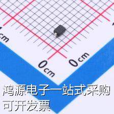 BSD3C4R51V160 瞬态抑制二极管(TVS) TVS二极管(ESD) 现货