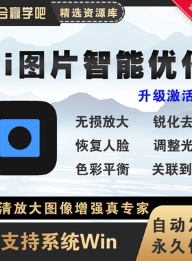 图像图片照片高清无损放大智能AI修图图像增强优化去噪锐化PS插件