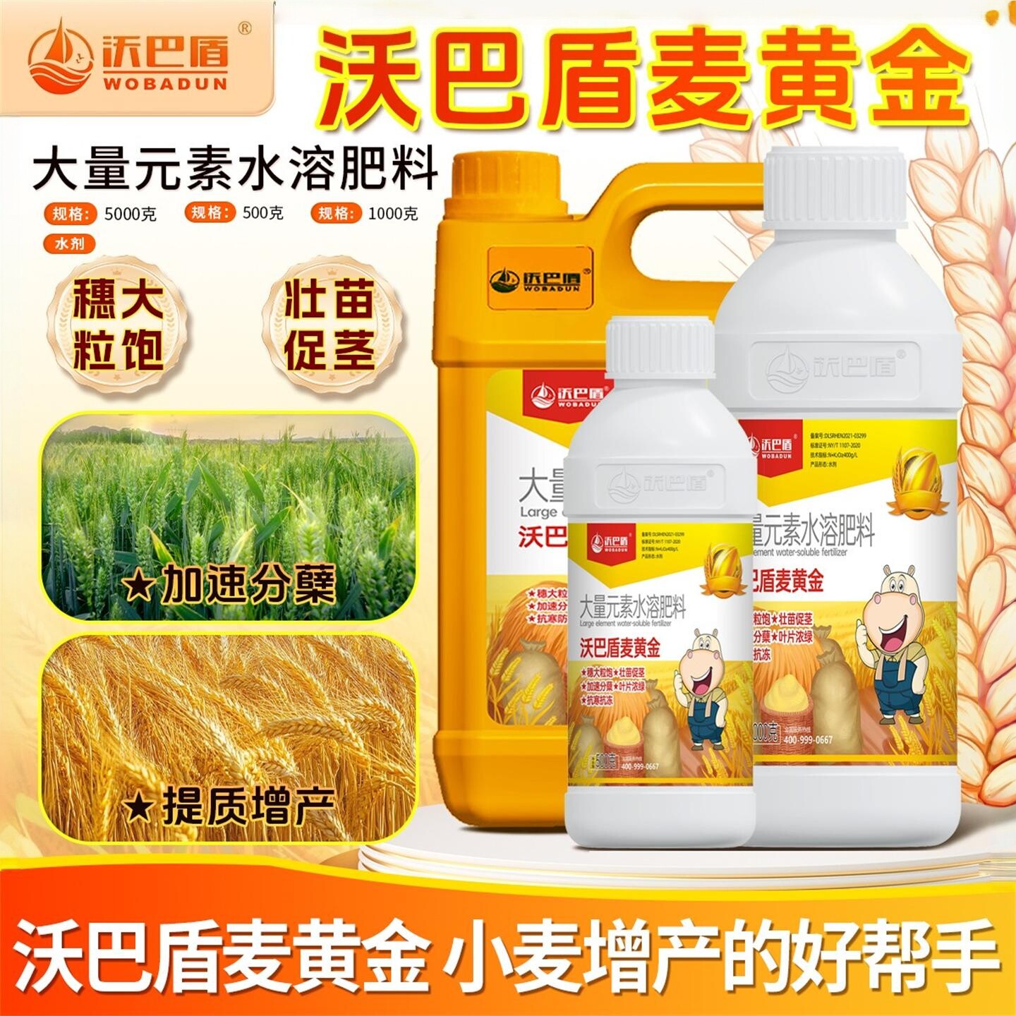 沃巴盾麦黄金促分蘖促返青抗寒防冻抗倒伏穗大粒饱小麦增产叶面肥