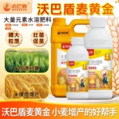 沃巴盾麦黄金促分蘖促返青抗寒防冻抗倒伏穗大粒饱小麦增产叶面肥
