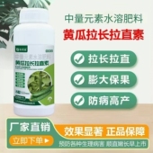 黄瓜拉长拉直素黄瓜专用叶面肥瓜条嫩绿增粗增长保花保果防畸形
