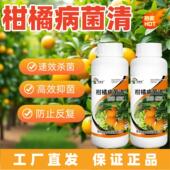 柑橘病菌清沙皮黄龙溃疡黄化柑橘树专用杀菌微生物菌剂抗病抗逆