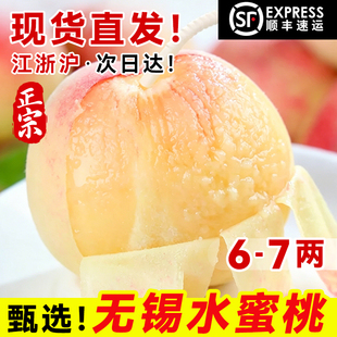 现货【6-7两大桃】正宗无锡水蜜桃子新鲜水果阳当季整箱湖景山