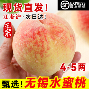 现货【4-5两】正宗无锡水蜜桃子阳新鲜水果当季整箱湖景山礼盒