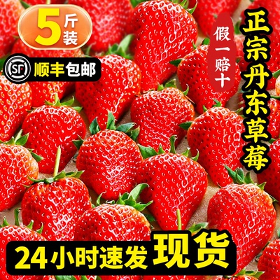 正宗丹东99草莓丨产地直发