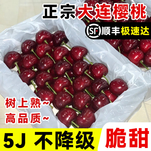 大连美早大樱桃5斤5j礼盒国产车厘子应当季新鲜孕妇水果顺丰包邮