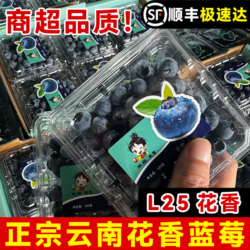 云南花香蓝莓特大新鲜水果现摘L25一斤礼盒装当季整箱官方旗舰店