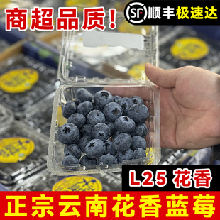高山新鲜水果特大枝当季 冠怡颗整箱顺丰 包邮 云南L25花香蓝莓