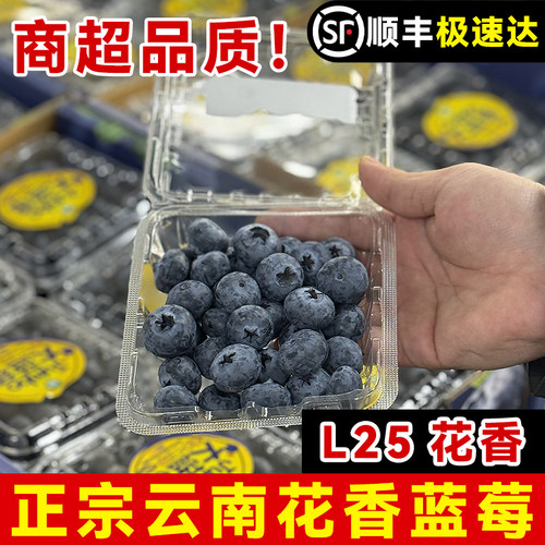 【云南L25花香蓝莓】高山新鲜水果特大枝当季冠怡颗整箱顺丰包邮