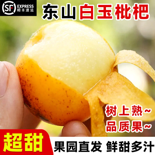 现货正宗苏州东山白玉枇杷顺丰礼盒新鲜当季水果青种大琵琶白沙