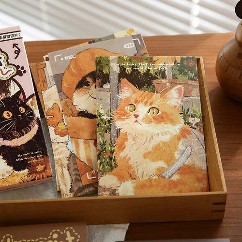 治愈猫咪手绘插画盒装明信片