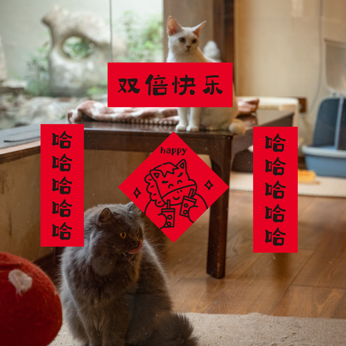 2026马年萌宠猫狗创意对联 春节猫狗窝门贴装饰新年氛围布置门幅,节庆用品/礼品,对联,淘宝优惠券,粉丝福利购,淘宝优惠卷