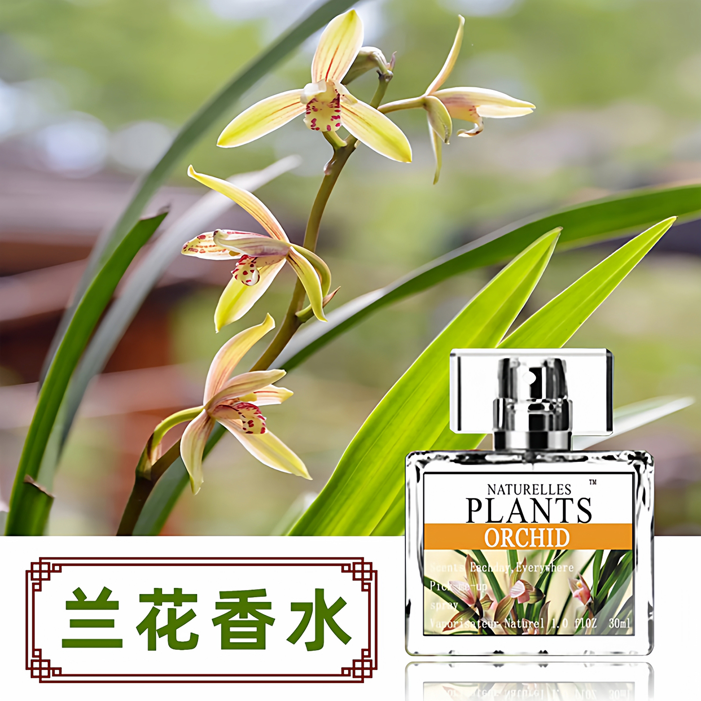 兰花香水正品女士持久淡香清新自然兰花香味的香水野兰花小众香水