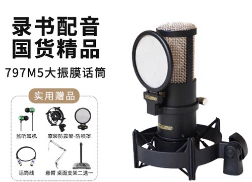797 M5有声小说读物录音专业电容麦克风录书直播K歌电容话筒声卡