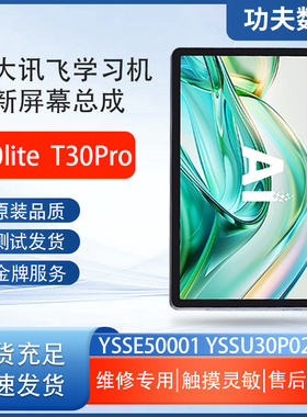 适用科大讯飞T30liteT30Pro屏幕总成YSSE50001显示屏YSSU30P02