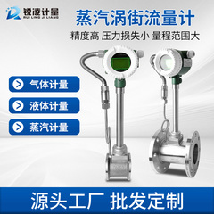 锐凌涡街流量计蒸汽气体压缩空气管道式氮气天然气计量高温防爆
