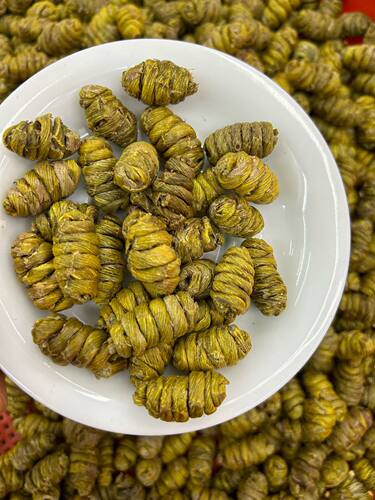 实体店经营铁皮石斛 铁皮枫斗石斛云南枫斗颗粒 包邮