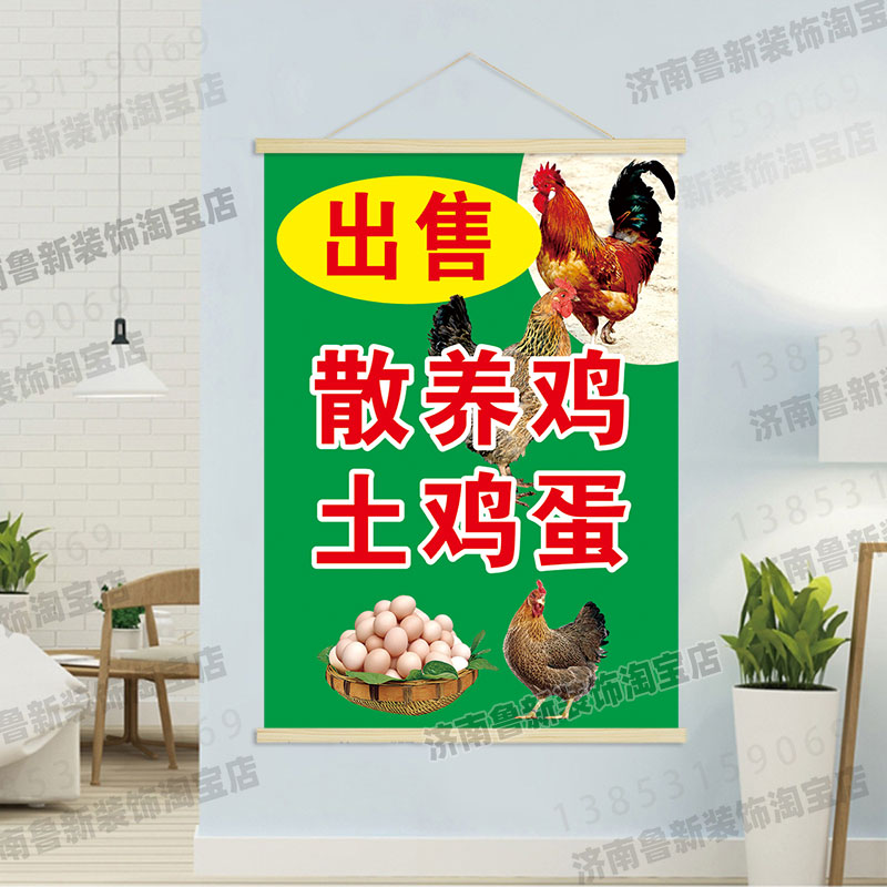 散养鸡  土鸡蛋  饭店餐馆美食海报挂轴装饰画 挂画壁画GB071图片