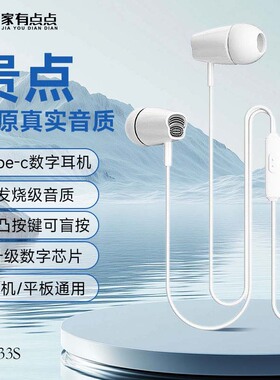 家有点点typec入耳式数字音频线控耳机适15/16平板耳机/MT33S